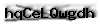 Captcha de verificación