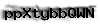 Captcha de verificación