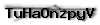 Captcha de verificación