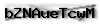 Captcha de verificación