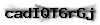 Captcha de verificación