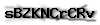 Captcha de verificación