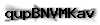 Captcha de verificación