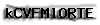 Captcha de verificación