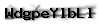 Captcha de verificación