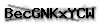 Captcha de verificación