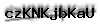 Captcha de verificación